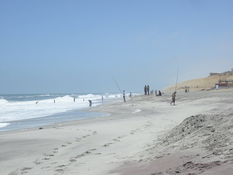 Image CIMG8341.JPG