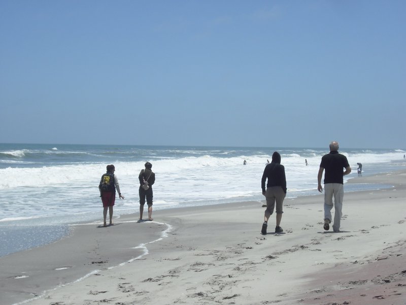 Image CIMG8342.JPG