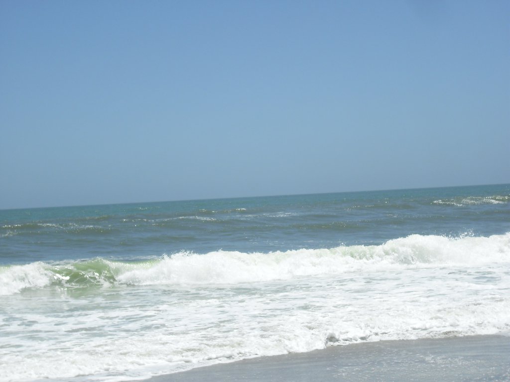 Image CIMG8344.JPG