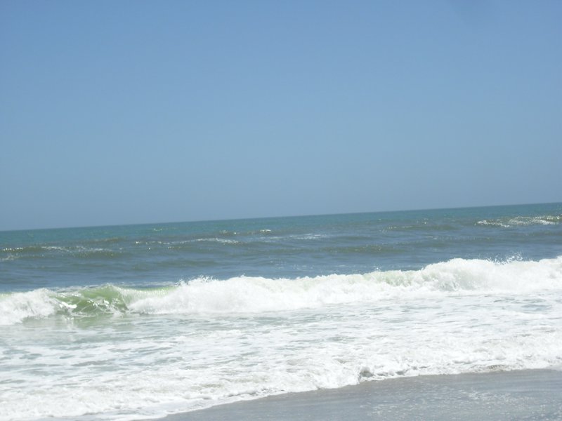 Image CIMG8344.JPG