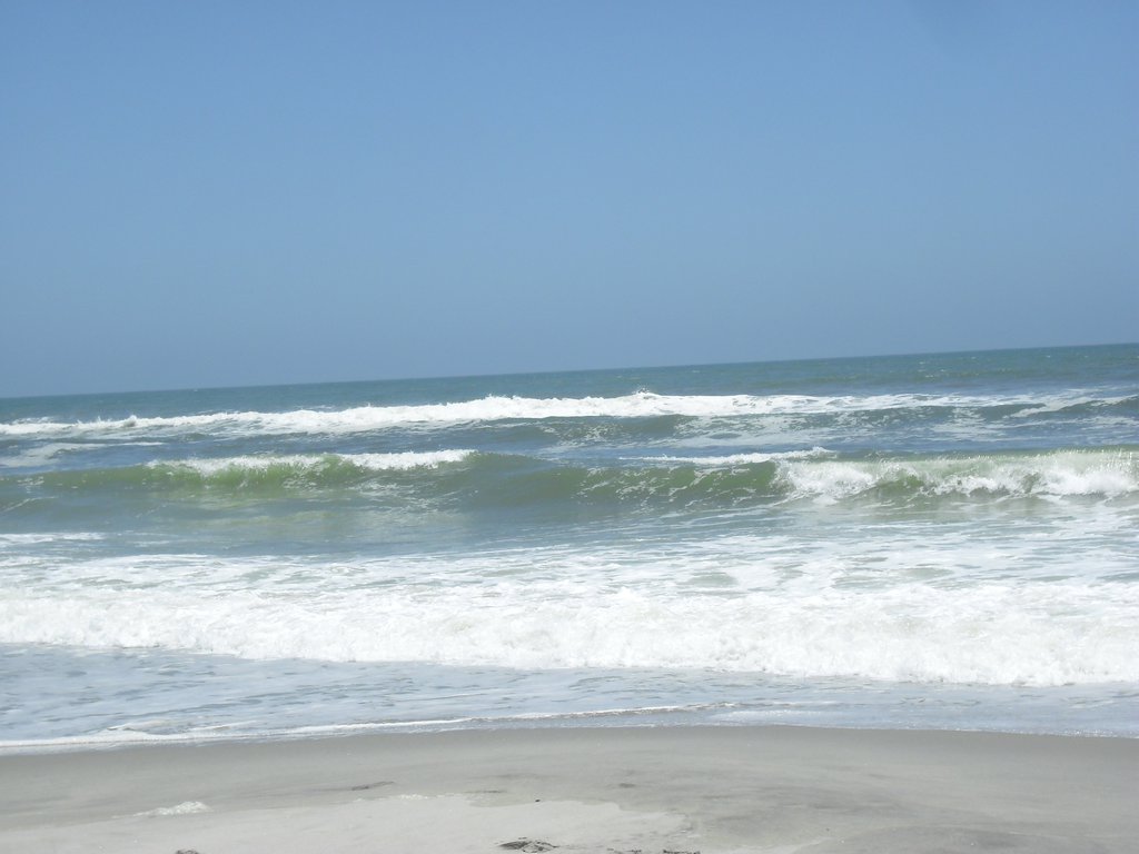 Image CIMG8345.JPG