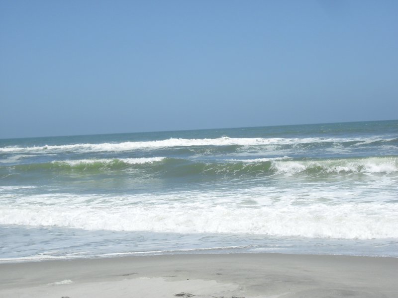 Image CIMG8345.JPG