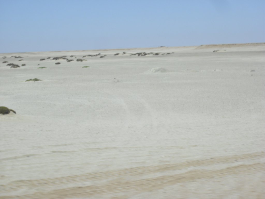 Image CIMG8352.JPG