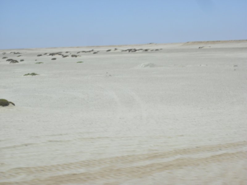 Image CIMG8352.JPG
