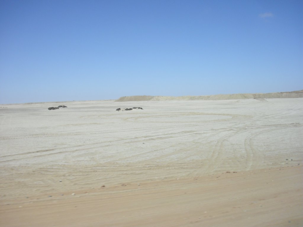 Image CIMG8353.JPG