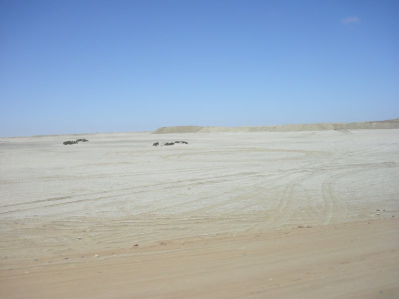 Image CIMG8353.JPG