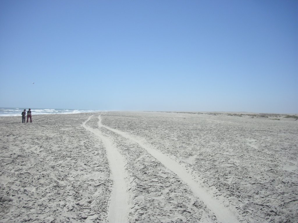 Image CIMG8357.JPG