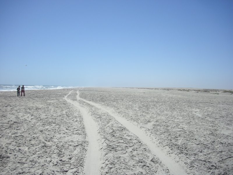 Image CIMG8357.JPG