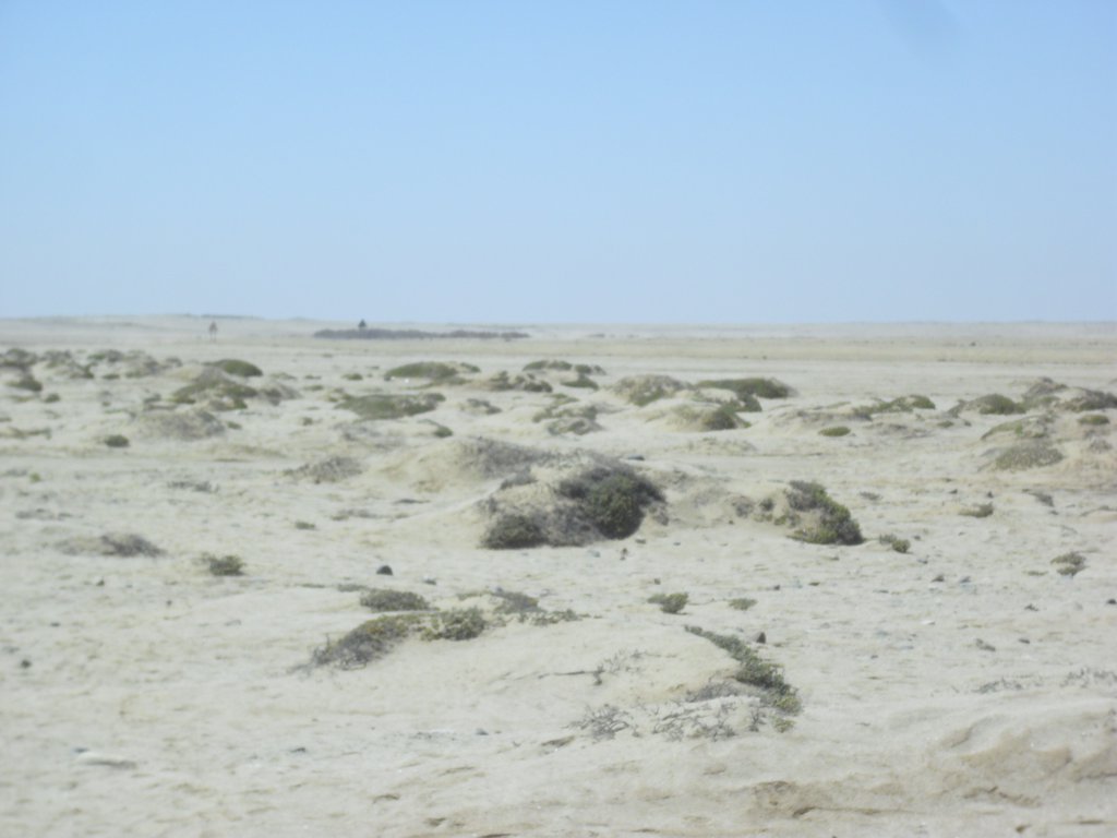Image CIMG8364.JPG