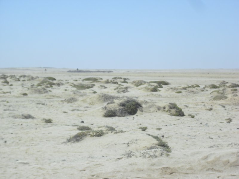 Image CIMG8364.JPG