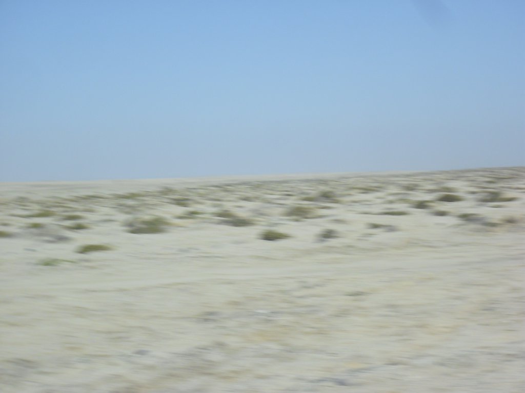 Image CIMG8365.JPG