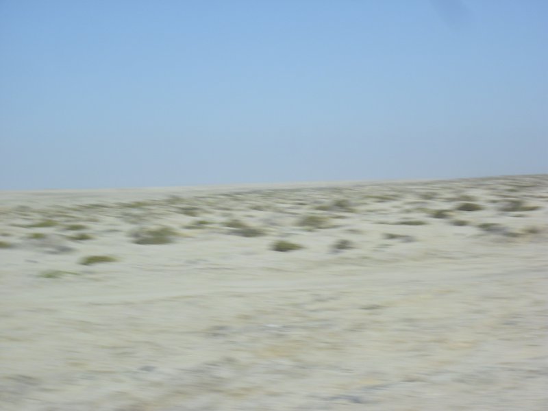 Image CIMG8365.JPG