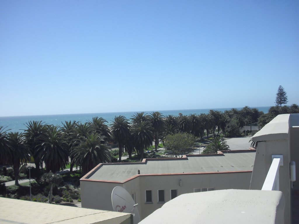 Image CIMG8373.JPG