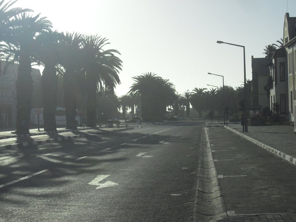 Image CIMG8386.JPG