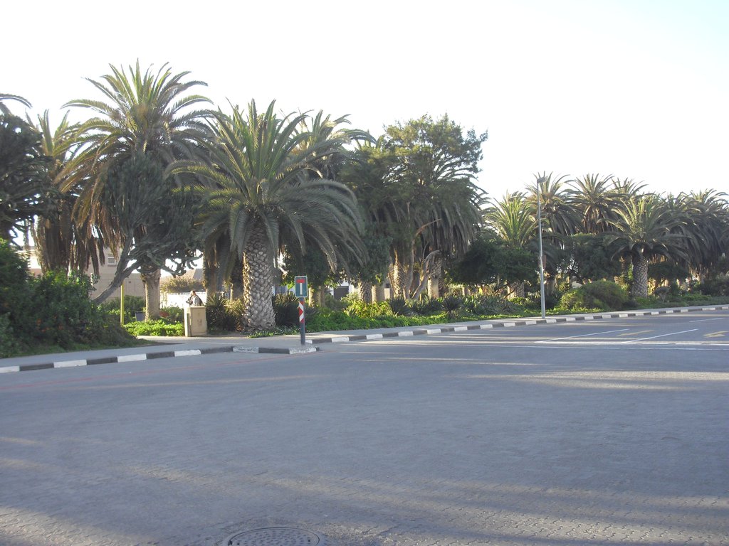Image CIMG8390.JPG