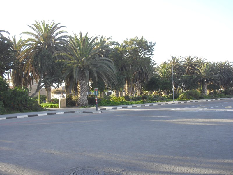 Image CIMG8390.JPG