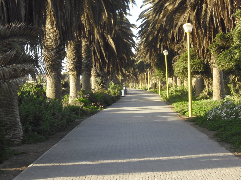 Image CIMG8394.JPG