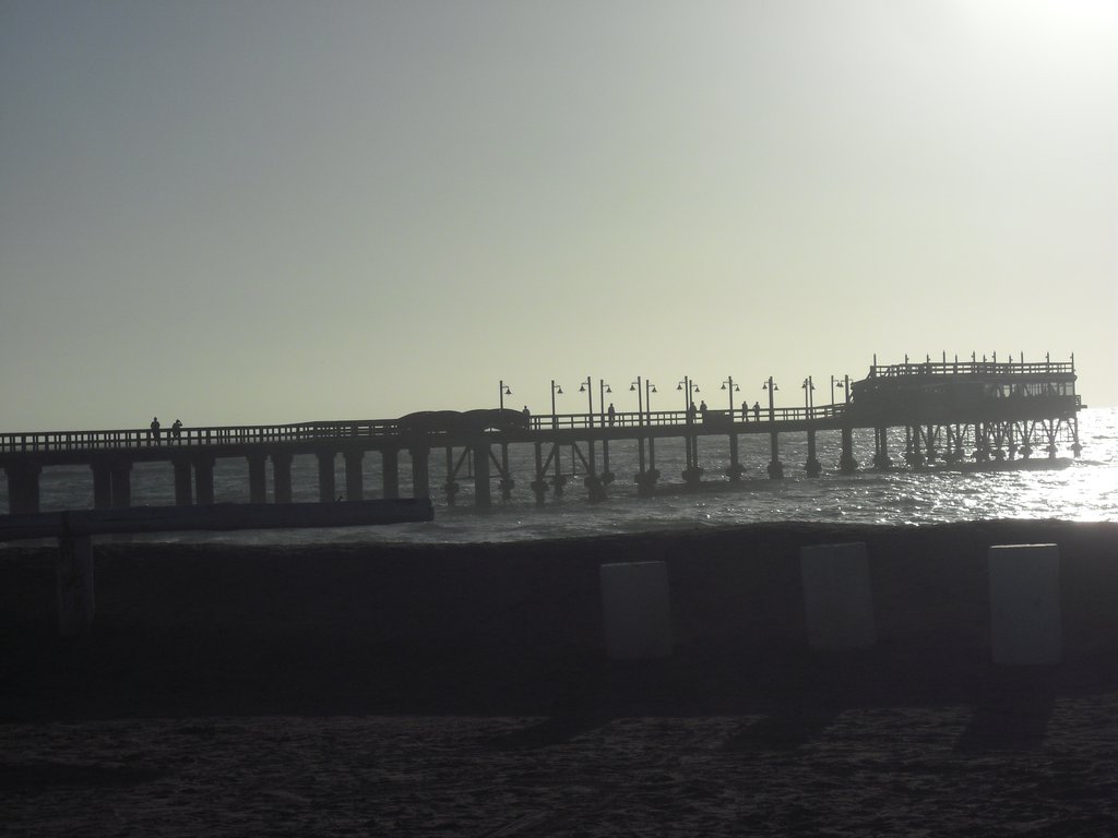 Image CIMG8395.JPG