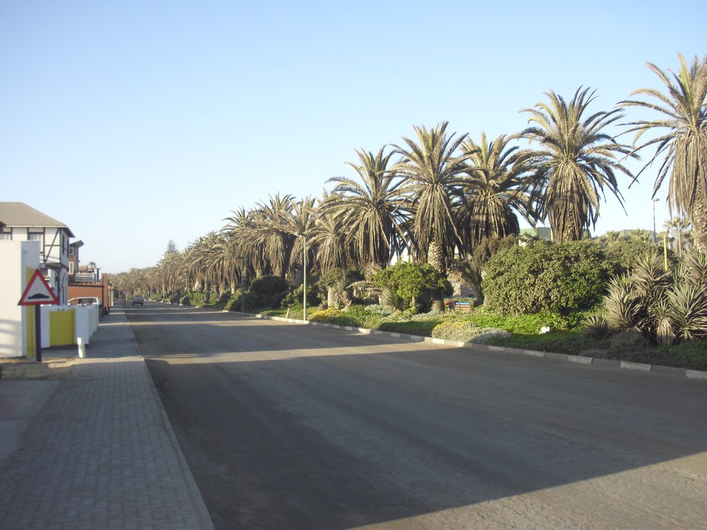 Image CIMG8397.JPG