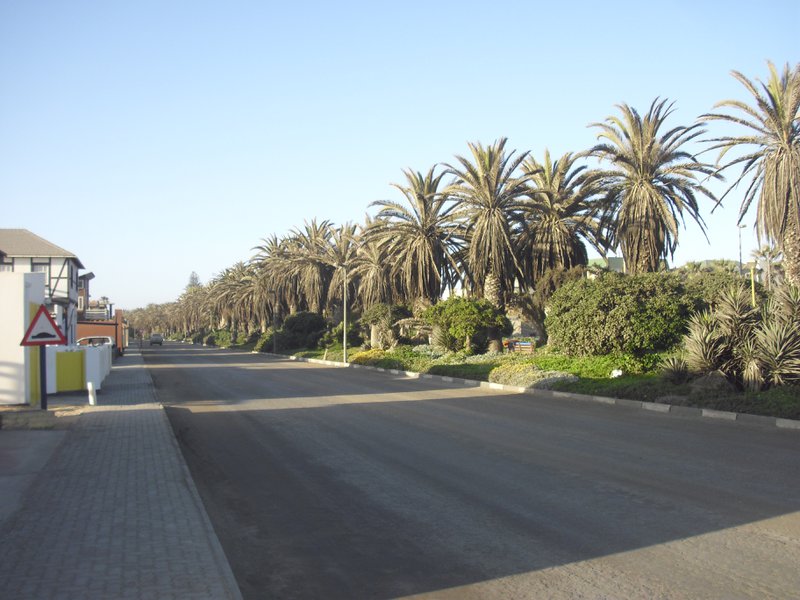Image CIMG8397.JPG