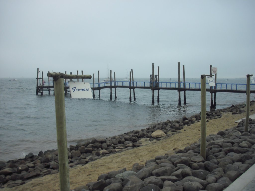 Image CIMG8418.JPG