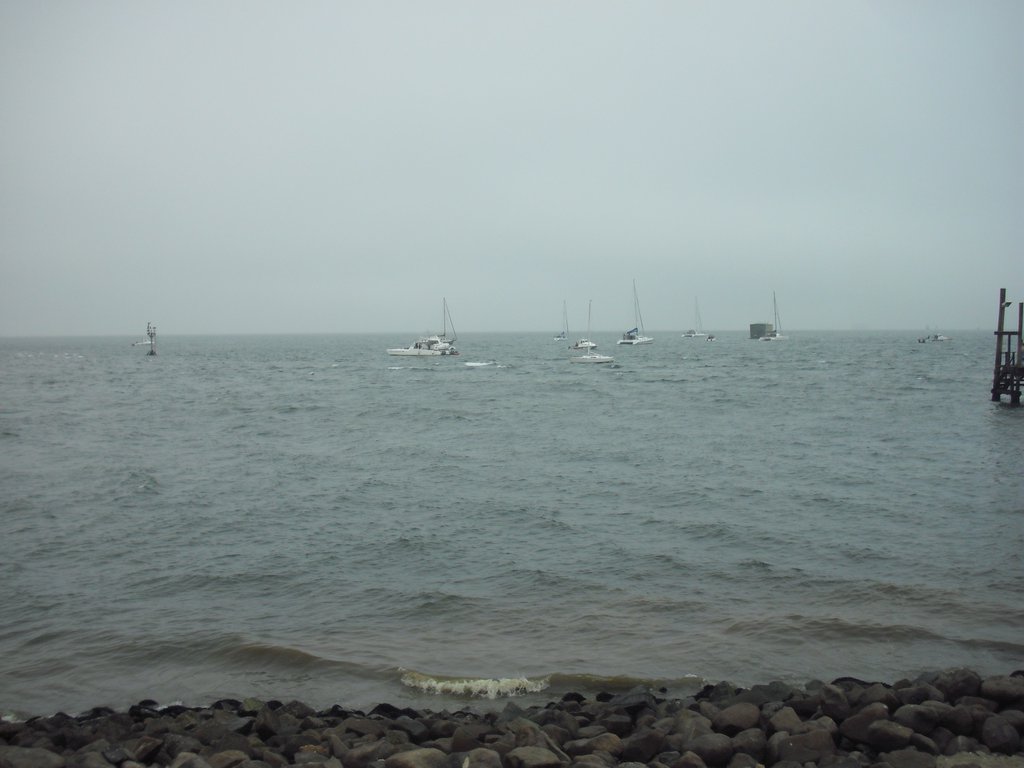 Image CIMG8419.JPG
