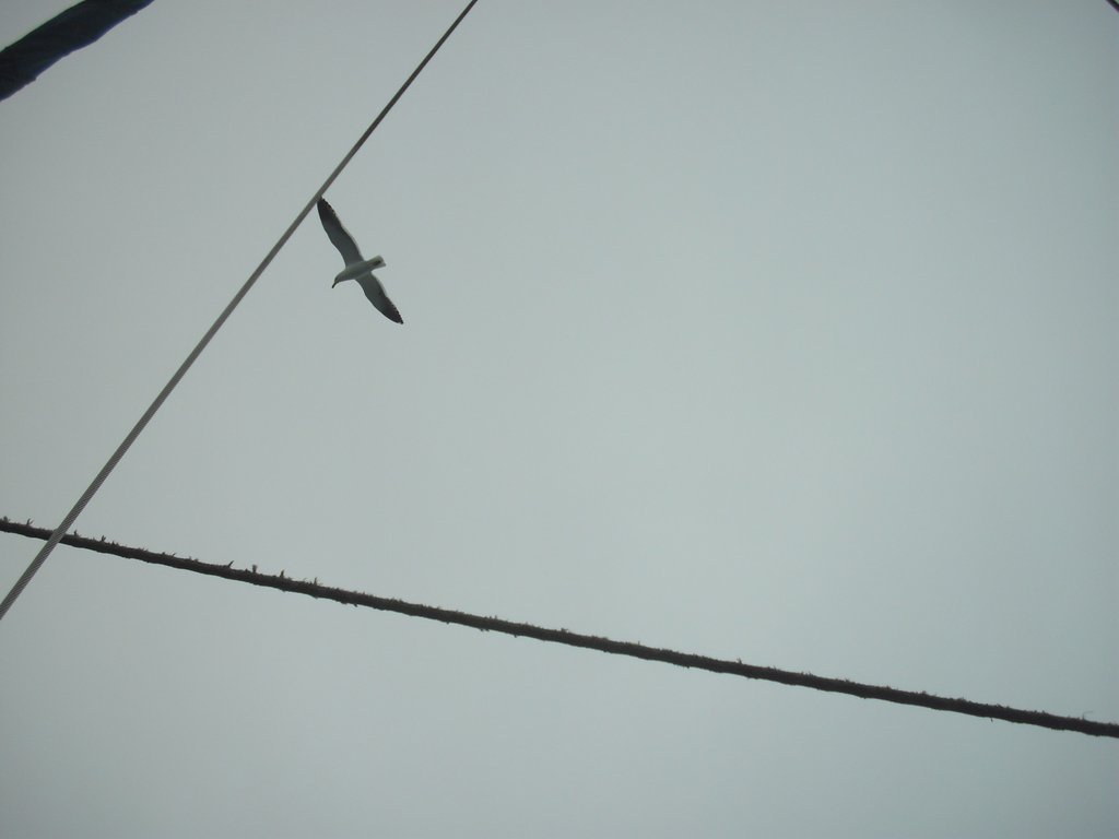 Image CIMG8422.JPG