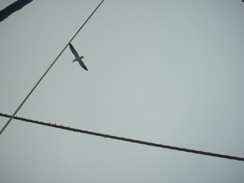 Image CIMG8422.JPG