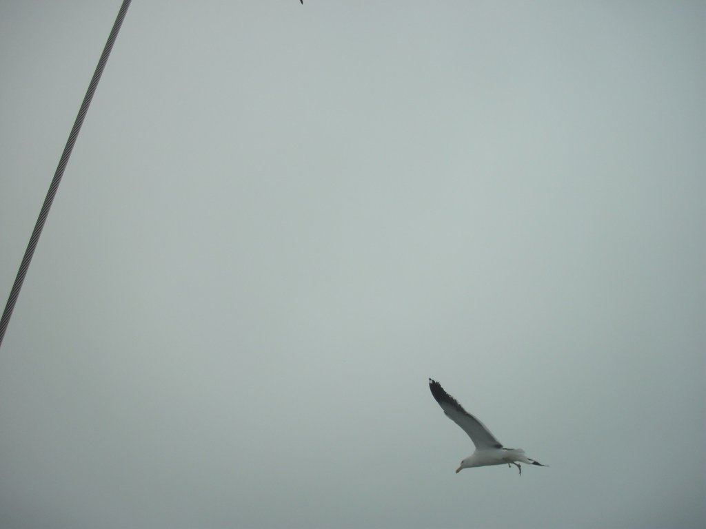 Image CIMG8423.JPG