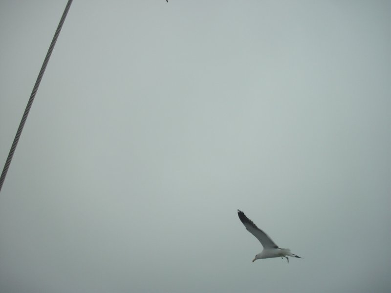 Image CIMG8423.JPG