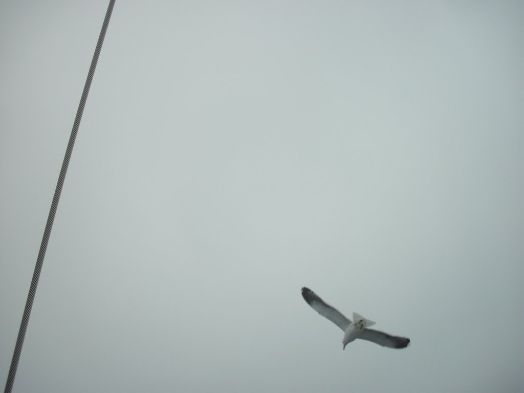 Image CIMG8424.JPG