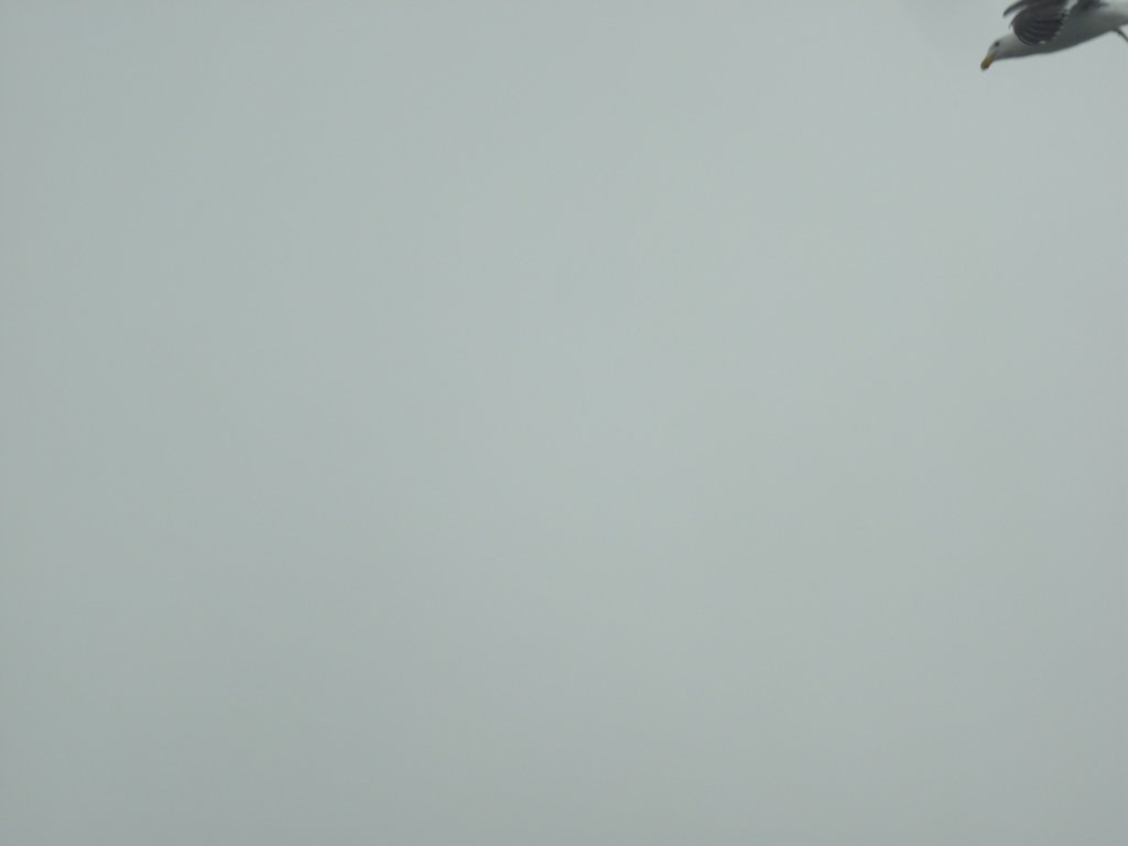 Image CIMG8426.JPG