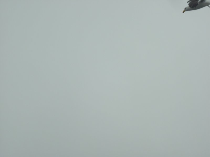 Image CIMG8426.JPG
