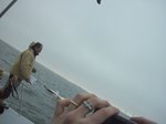 CIMG8435 thumb