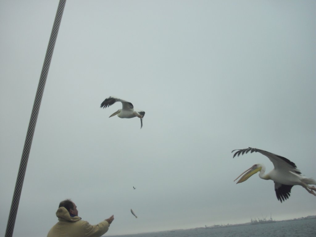 Image CIMG8438.JPG