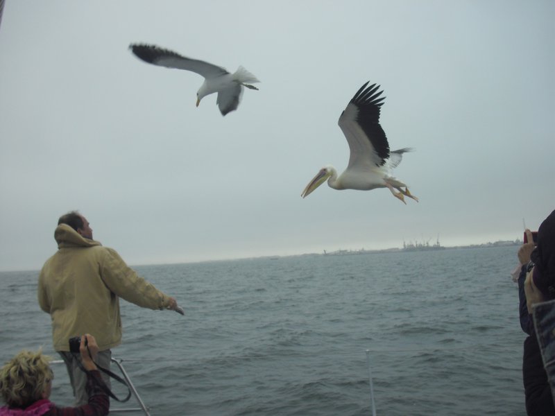 Image CIMG8441.JPG