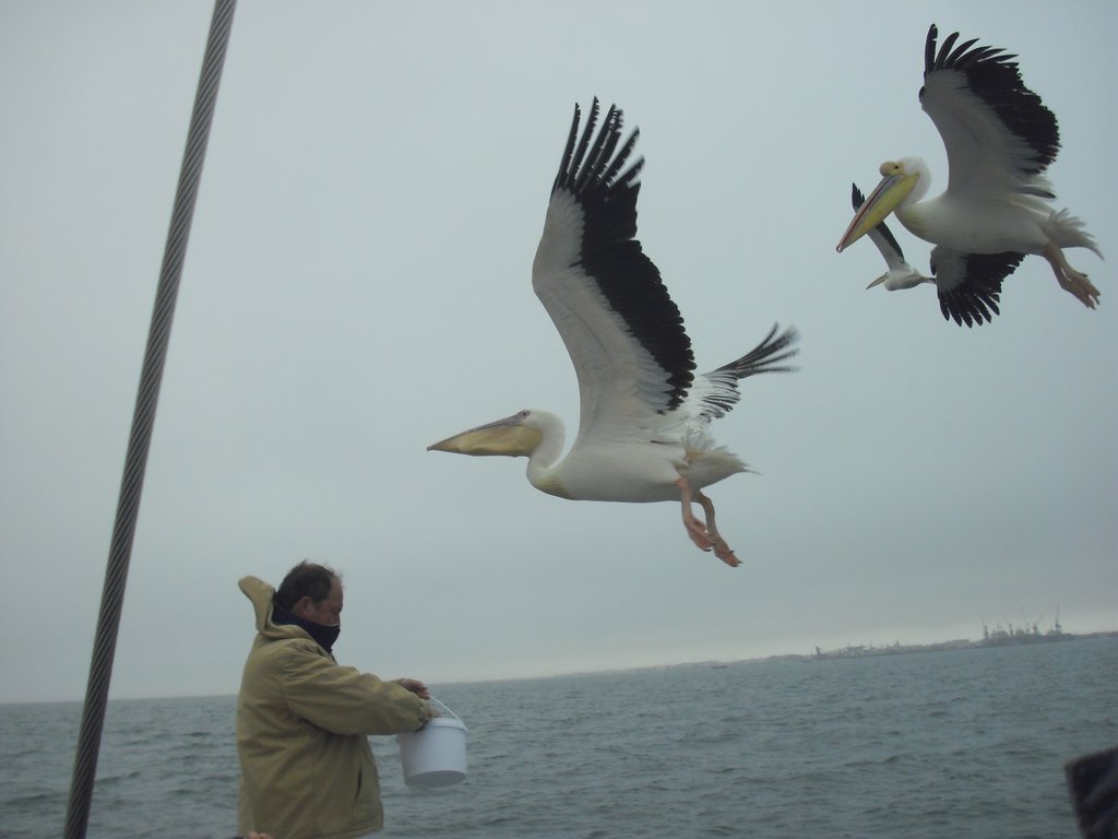 Image CIMG8443.JPG