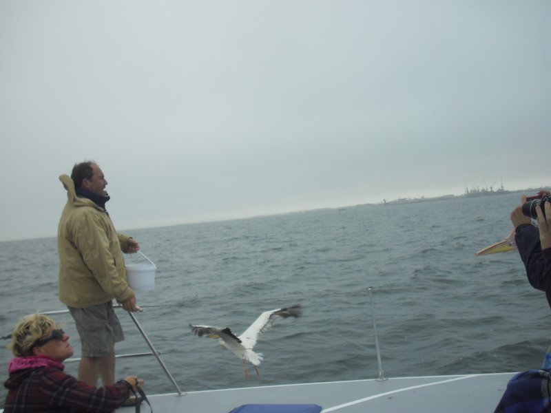 Image CIMG8444.JPG