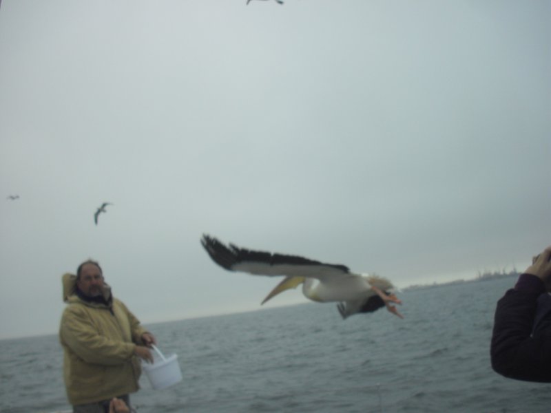 Image CIMG8446.JPG