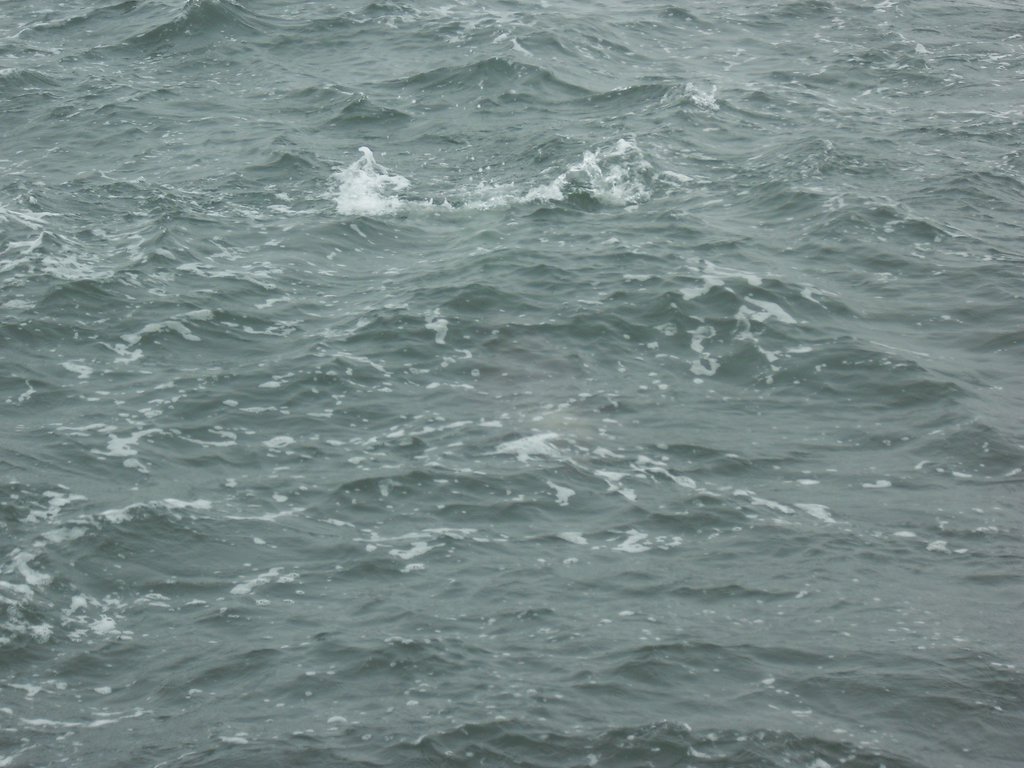 Image CIMG8469.JPG