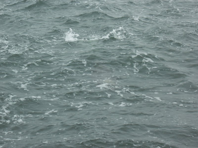 Image CIMG8469.JPG