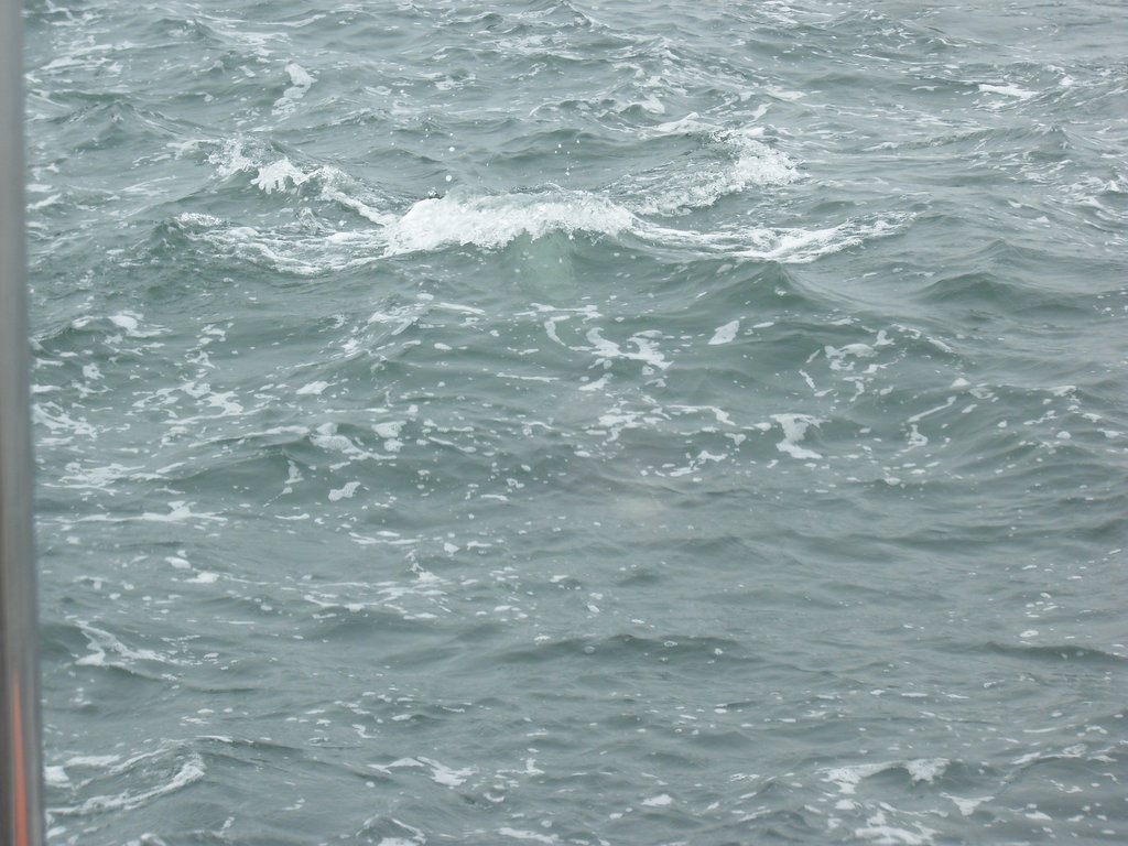 Image CIMG8470.JPG