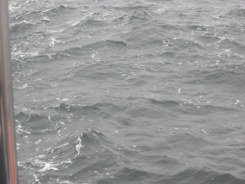 Image CIMG8471.JPG