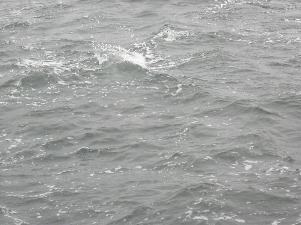Image CIMG8472.JPG