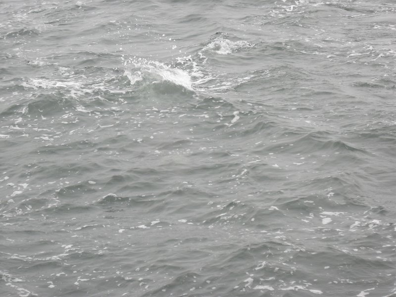 Image CIMG8472.JPG
