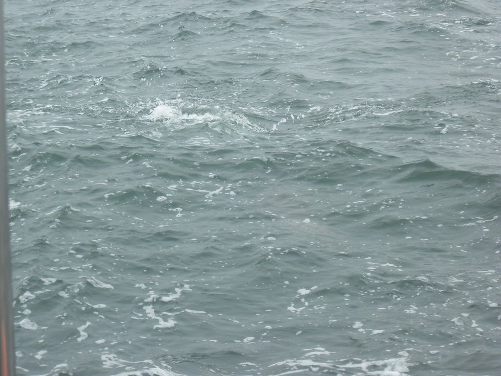 Image CIMG8473.JPG