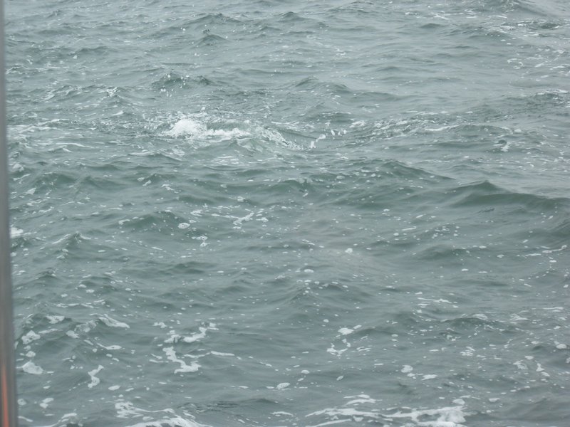 Image CIMG8473.JPG