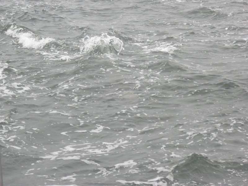 Image CIMG8474.JPG