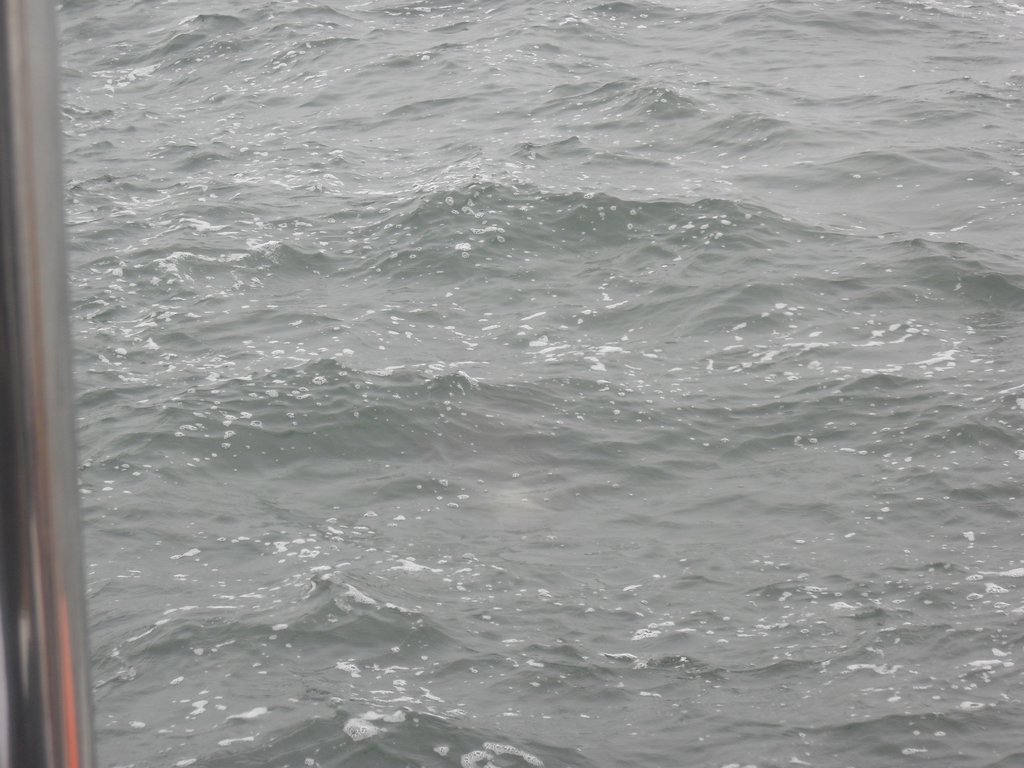 Image CIMG8475.JPG