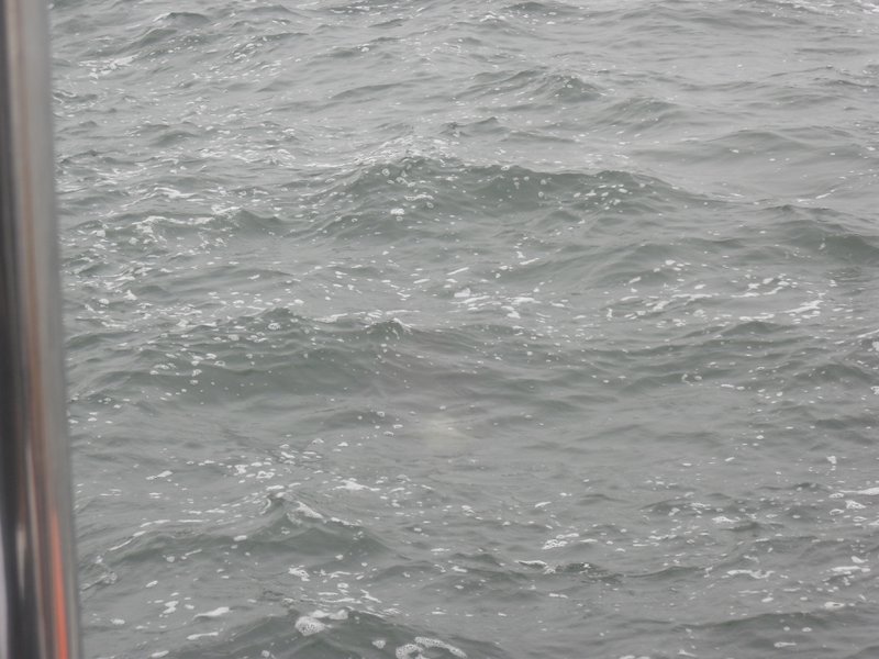 Image CIMG8475.JPG